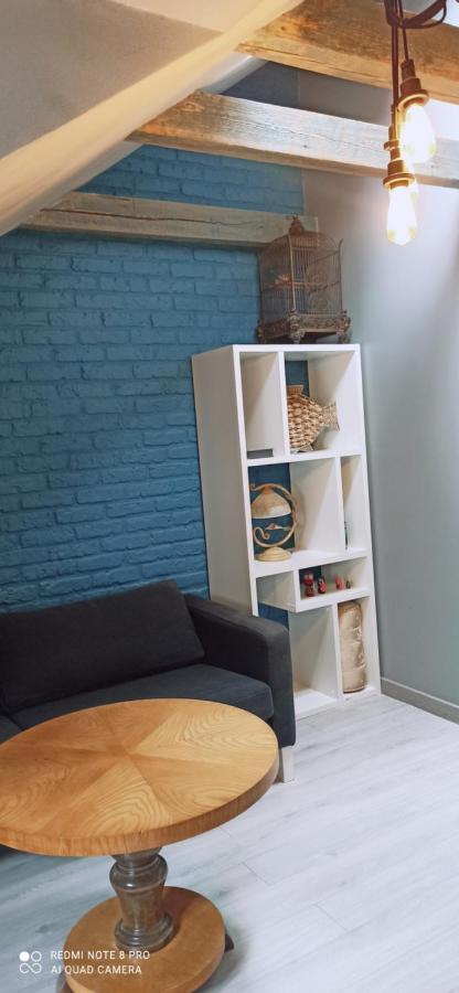 شقة Old Town Cute Flat 2 Beds 2 Baths ريغا المظهر الخارجي الصورة